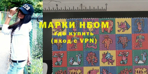 гашик Няндома