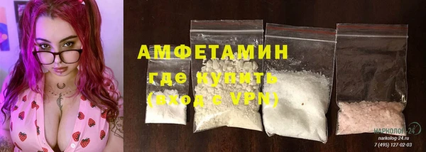 гашик Няндома