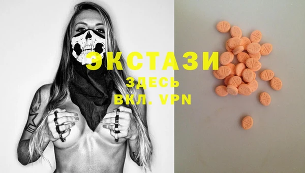 гашик Няндома