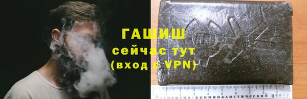 гашик Няндома