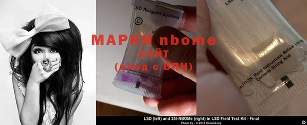 гашик Няндома