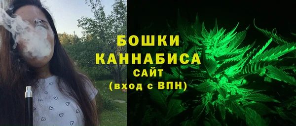 гашик Няндома