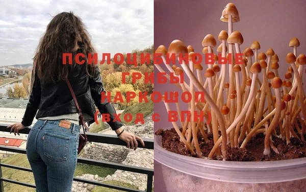 меф Нягань