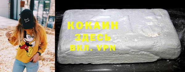 гашик Няндома