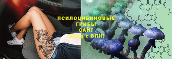 меф Нягань