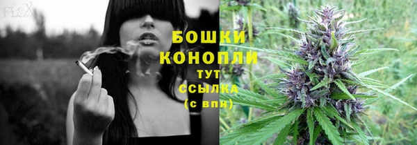 прущие крисы Щёлкино